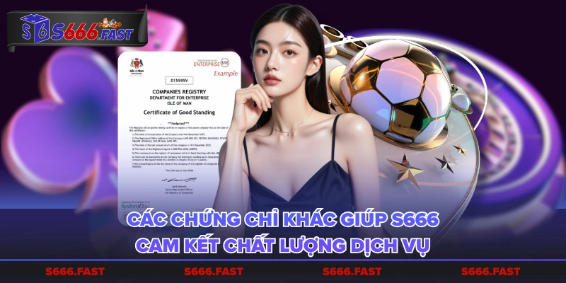 Các chứng chỉ khác giúp S666 cam kết chất lượng dịch vụ